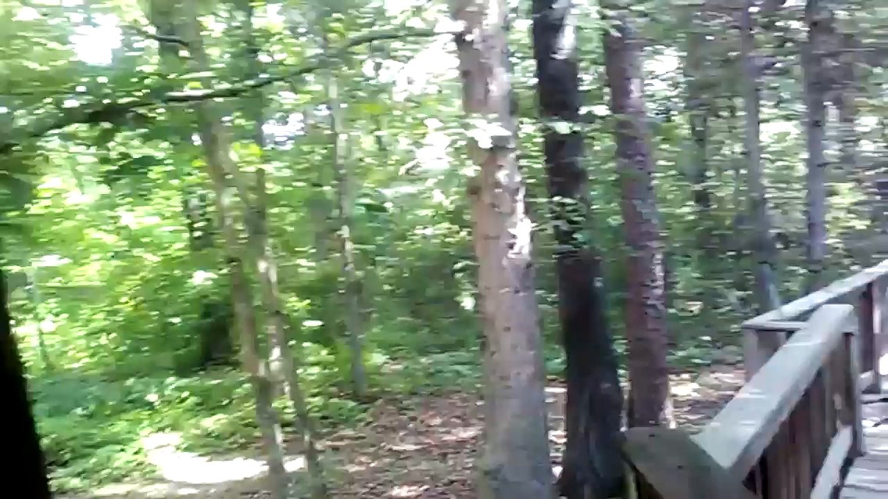 Day 2 Of Our Vacation To Bear Creek Country Part 1