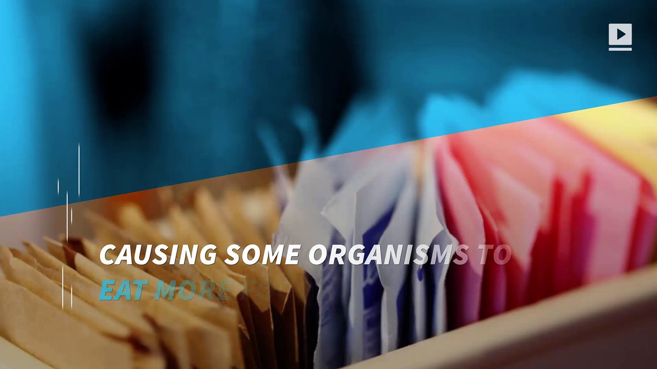 Study: Artificial sweeteners may cause humans to eat more