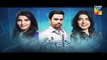 Dil E Beqarar - Episode 14 Promo HD HUM TV Drama 13 July 2016