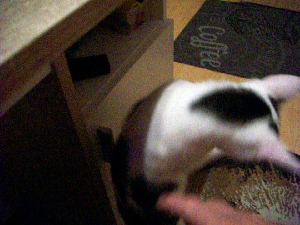 Harvey am 13.07.2016