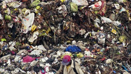 Human - Tráiler Español V.O.S.E HD [1080p]