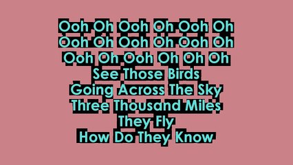 Tom Odell - Magnetised karaoke