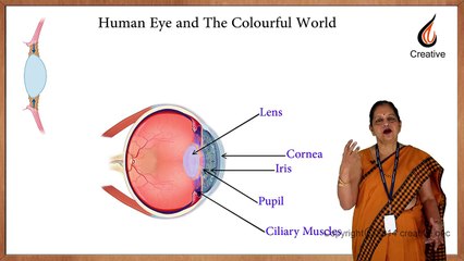CBSE class 10 physics -  Human Eye and Colourful World