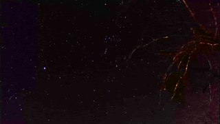 Orion and Sirius Night sky 11-28-14