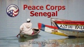 Peace Corps Senegal: Mango Grafting (1 of 4)