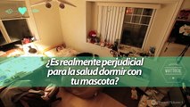 Dormir con una mascota relaja la mente y ayuda a conciliar el sueño