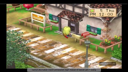 harvest moon back to nature - bayi yang baru lahir