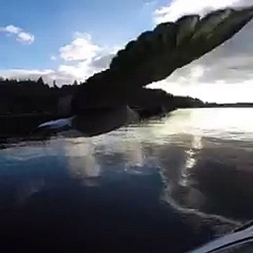 ✨ Let my spirit fly ✨ Freedom is the oxygen of the soul ✨ Laisse mon esprit vole ✨ La liberté est l’oxygène de