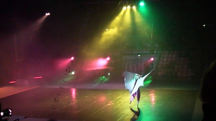 Die Fliegenden Sachsen 15 jähriges Jubiläum Stadthalle Zwickau