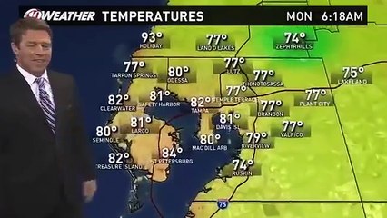 Florida Anchor Walks Through Newscast For Pokemon GO