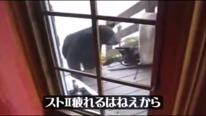Movie_049【心霊・怨霊】【閲覧注意】恐怖！巨大クマが車に体当たり衝突！！熊トラのバトル（チャンネル【恐怖で震えあがる】_Happening_ghost_Spirit