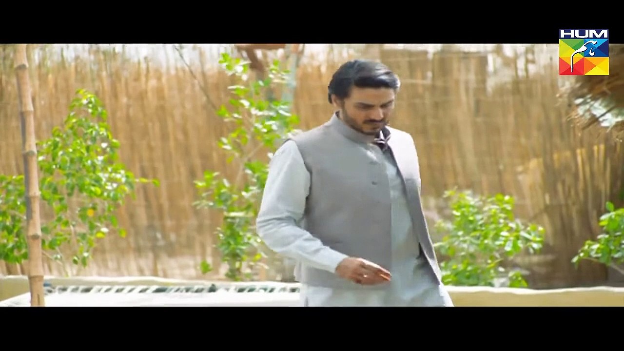 Udaari Episode 13 HD Full Hum TV Drama 3 July 2016