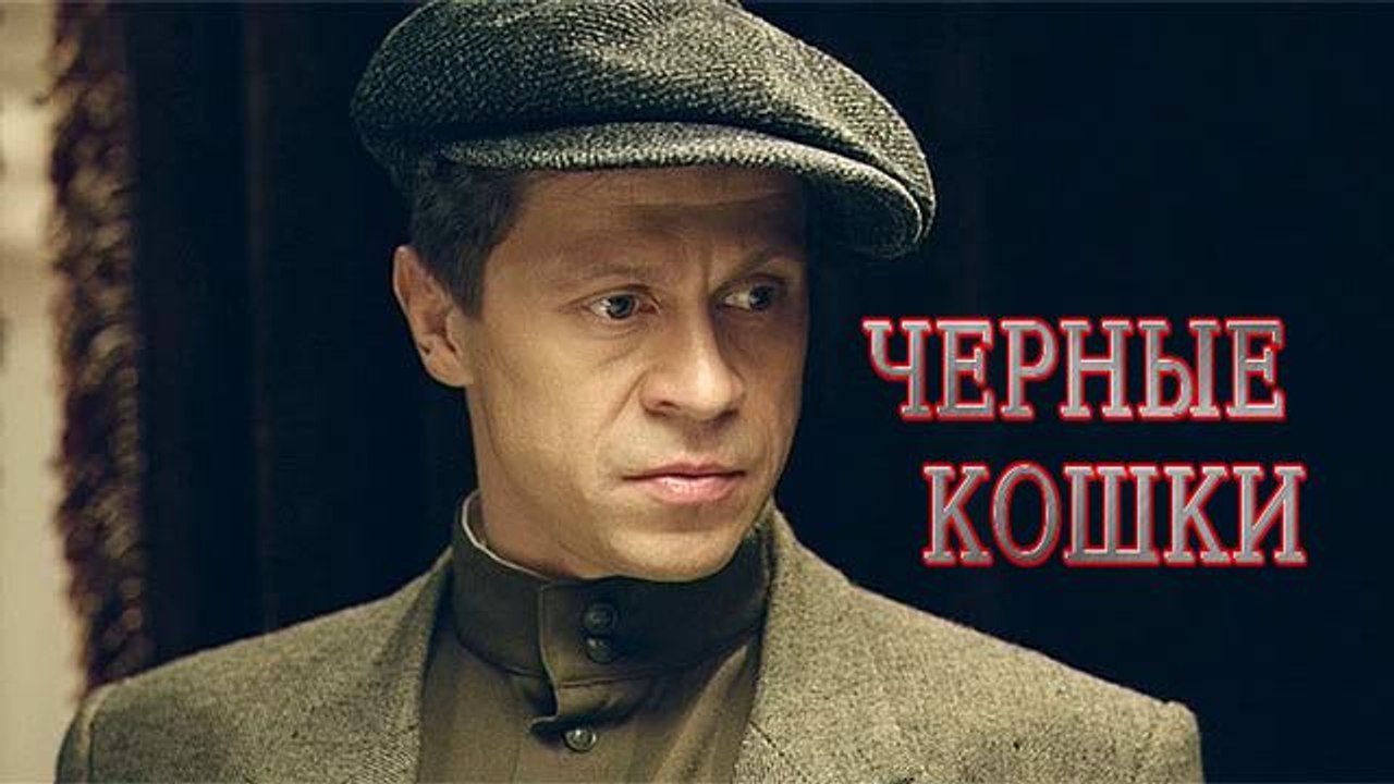 Черные кошки. 5  серия (2013)
