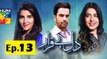 Dil E Beqarar Episode 13 on Hum Tv in High Quality 13th June 2016