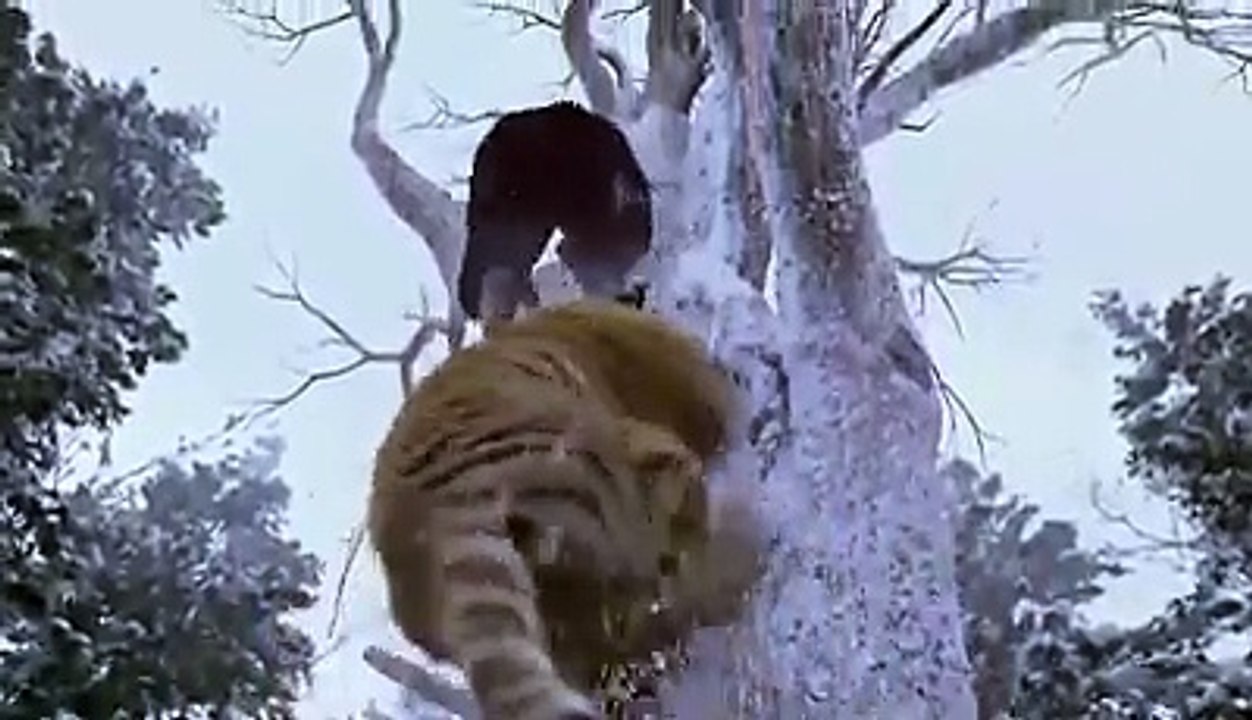 tigerhitman funnyclips