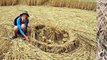 2 New Crop Circles in Wiltshire, UK - 27 July 2010