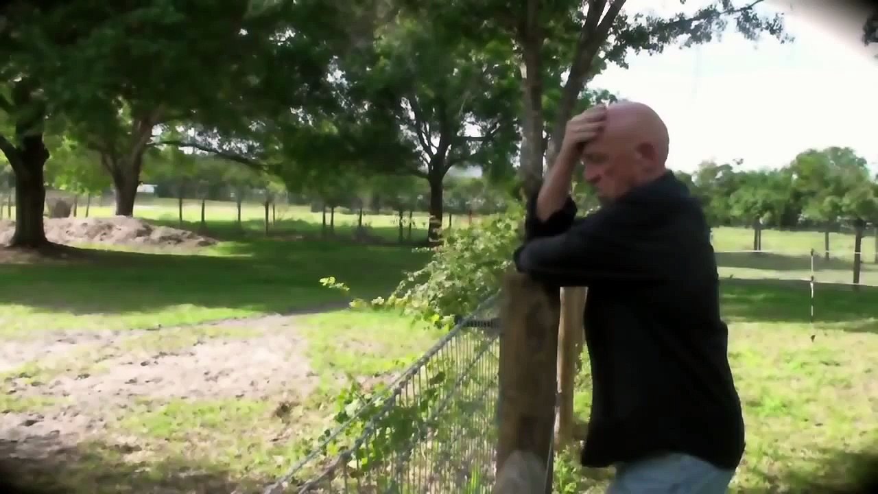 HÖLLENSTURM Die Vernichtung Deutschlands Hellstorm in Deutsch