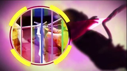 Stem Cell Treatment - Cryoviva India