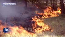 Aude: les pompiers mobilisés pour maîtriser un vaste incendie