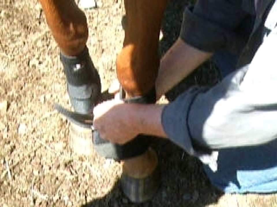 botte