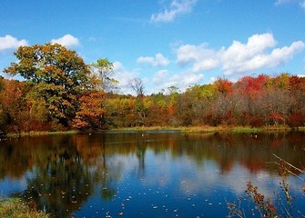 홀짝사다리 토토놀이터추천 SuperCar777。com 가입코드6623 라이브스코어