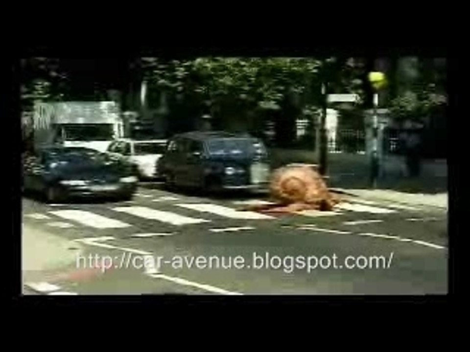 Big Snail