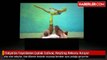 İtalya'da Yayınlanan Çıplak İzdivaç Reyting Rekoru Kırıyor