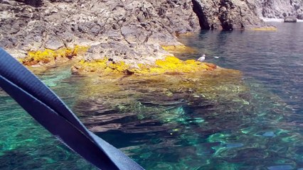 Punta Molinazzo - Isola di Pantelleria