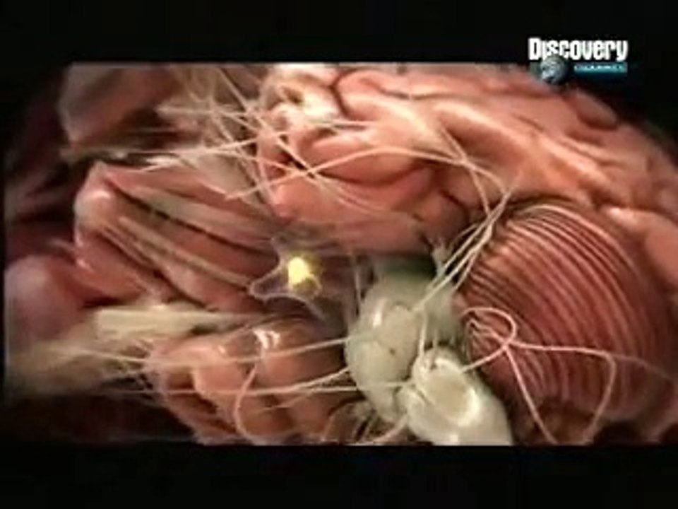 Brain Power 2 of 6