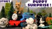 PUPPY SURPRISE --- Join Peppa Pig Thomas and the Puppy In My Pocket Puppies  in the Playground with Blind Bag Opening Unboxing