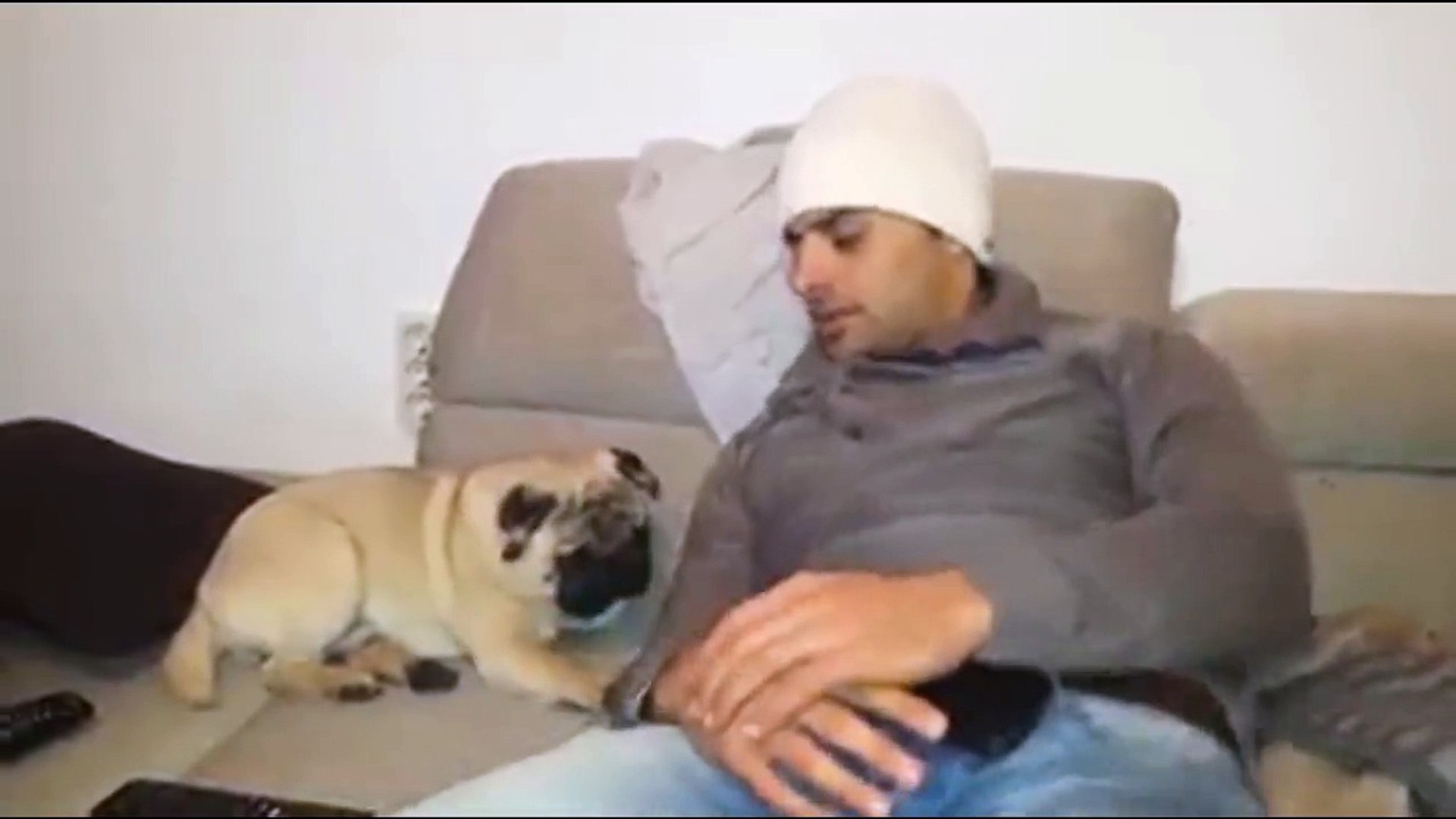Quand ton chien est un vrai pot de colle - Vidéo Dailymotion