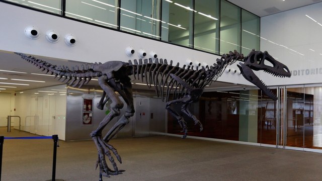 Meet Argentina's newly discovered dinosaur