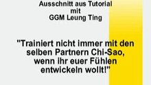 Wing Tsun Leung Ting Tutorial Chi Sao 15