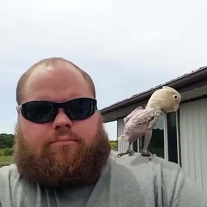 Après avoir subi de mauvais traitements, il perd son plumage, mais aujourd'hui, il est tout heureux. Trop chou !