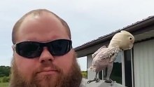 Après avoir subi de mauvais traitements, il perd son plumage, mais aujourd'hui, il est tout heureux. Trop chou !