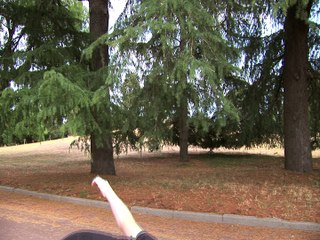 La vie de Château BIS - Documentaire ADOS