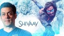 Salman Khan In Ajay Devgan's Shivaay?