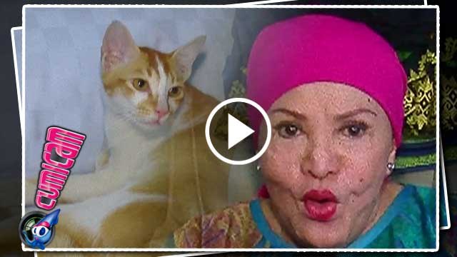 Di Kamar Tidur, Mpok Atiek Ditemani Kucing Kampung - Cumicam 14 Juli 2016