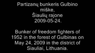 1952 metų  Lietuvos partizanų bunkeris Gulbino miške 2009-05-24.