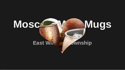 Buy Moscow Mule Mugs Set in New Jersey