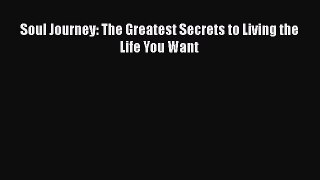 Read Soul Journey: The Greatest Secrets to Living the Life You Want Ebook Free