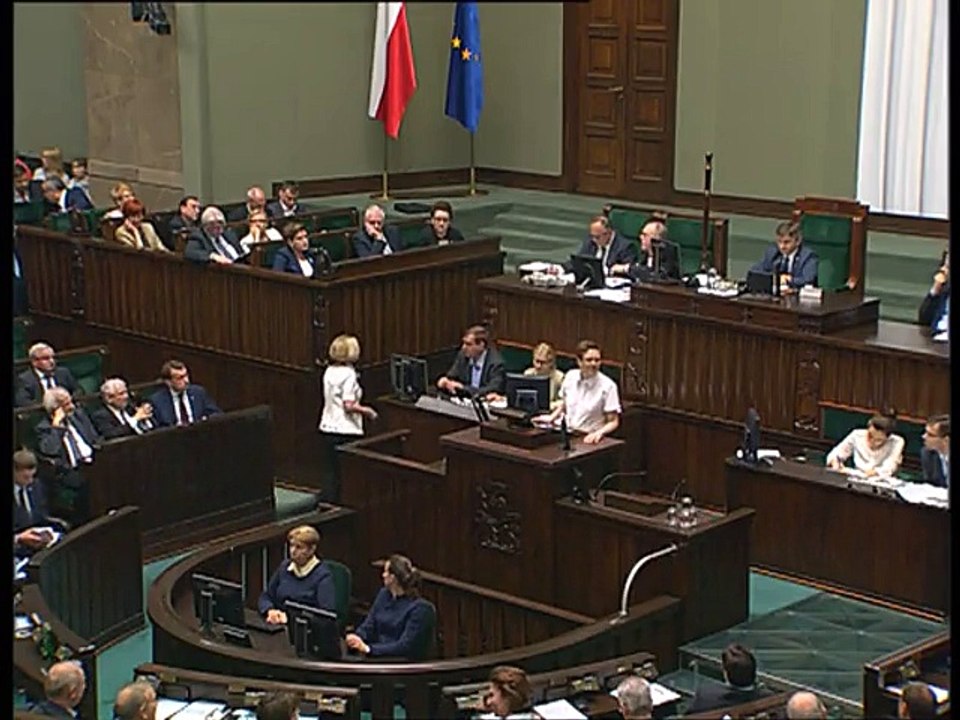 Poseł Katarzyna Lubnauer - Wystąpienie z dnia 23 czerwca 2016 roku.