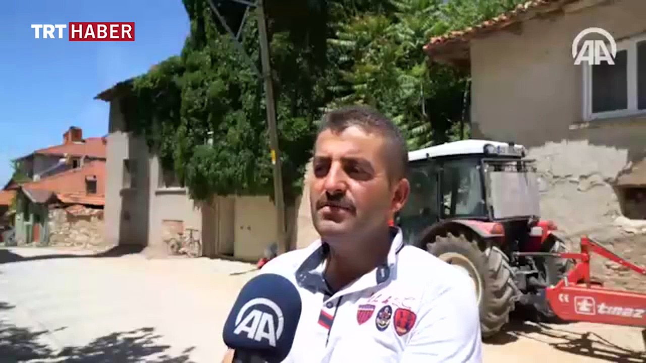 'Sarmaşık ev'de doğal klima