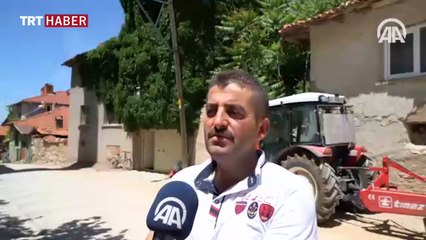 'Sarmaşık ev'de doğal klima