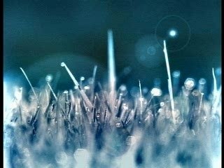 om les temps fors de la saison 2006/2007