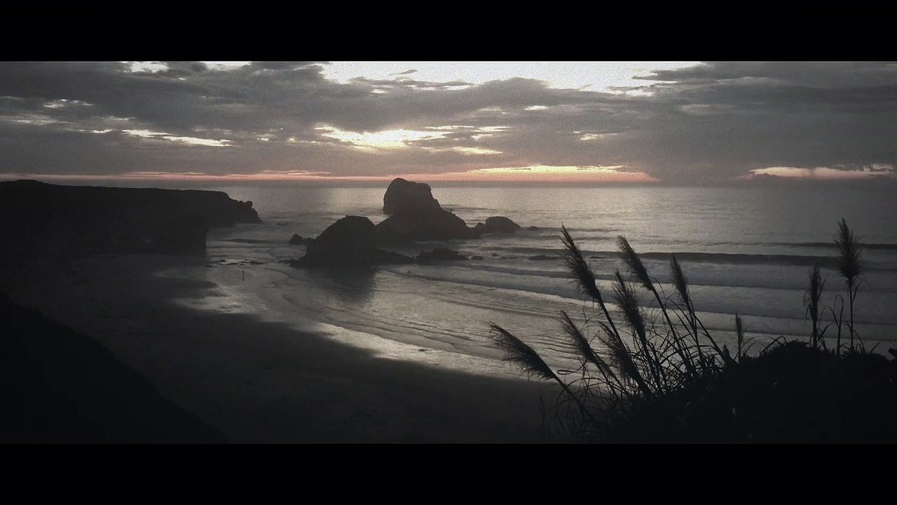 CINEPHONE 2016 : ROBOT KOCH - DARK WAVES