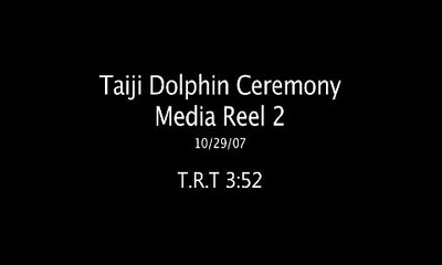 Sea Shepherd - Taiji Dolphin Surfer Protest 2007 - Part 2