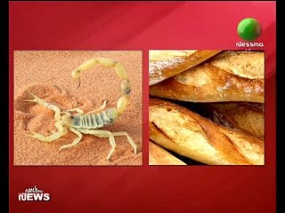 تفاصيل حادثة العثور على عقرب وسط خبزة بالحنشة