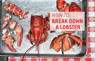 How To Break Down & Eat A Lobster