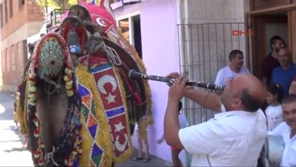 Edirne Roman Damat Adayı Gelin Hamamı İçin Deve Kiraladı